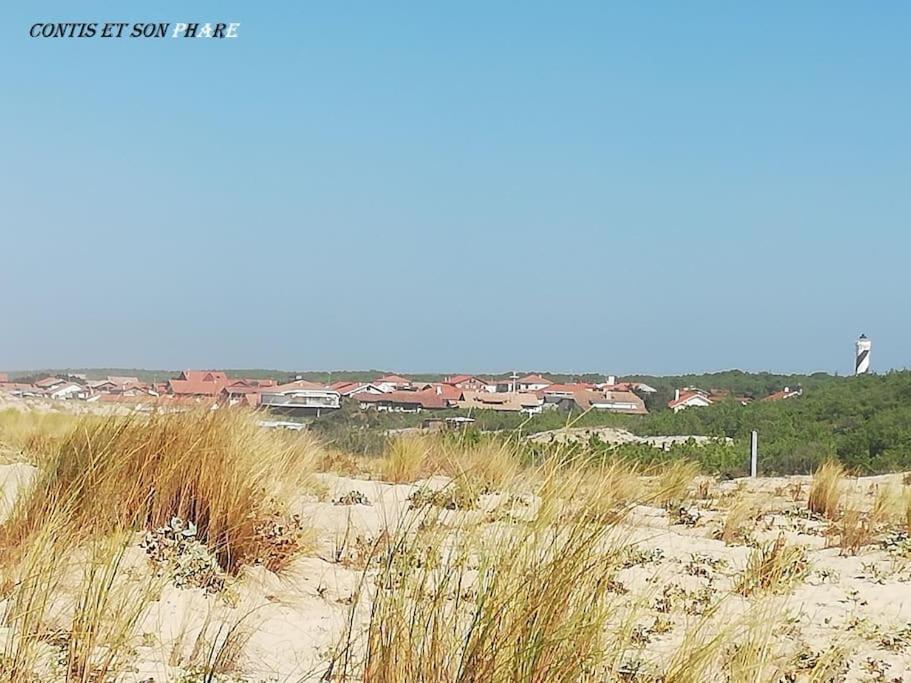 Le Nid Daire Aureilhan  Dış mekan fotoğraf